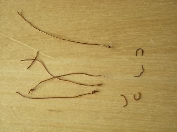The copper wires and the remains of the horse hairs that were behind the screws.