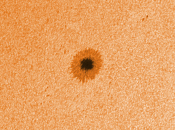 Solarspot AR2833 as imaged on 16 June 2021 with the C11 @ f/20.