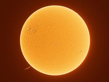 The full Sun captured on 31 July 2020.