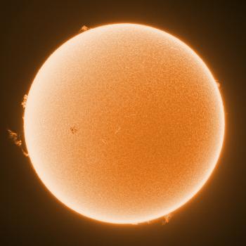 The Sun showing a nice large protuberance on 11 April 2021.