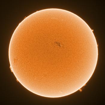 The Sun in H-alpha on 2 June 2021, showing sunspots AR2827.