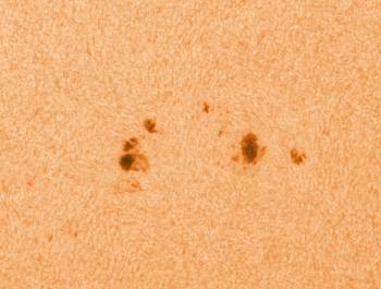 Detail of the sun as imaged on 7 June around 08:08 UTC in white-light with a C11.