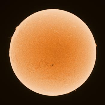 The Sun as imaged on 9 May 2022 @ 08:04 UTC with the Lunt @ f/14 and QHY163 mono.