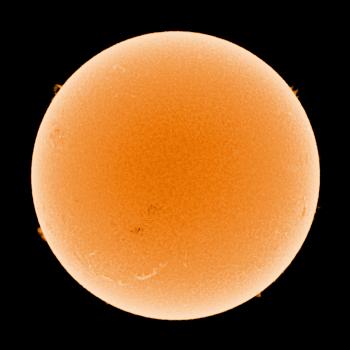 The Sun as imaged on 2 July 2022 @ 08:37 UTC with the Lunt @ f/14 and QHY163 mono.